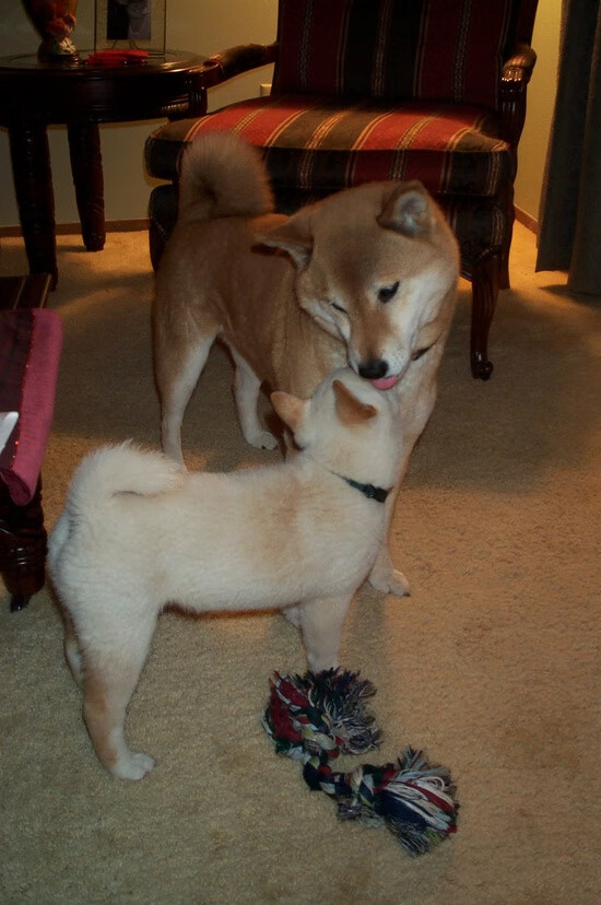 _老将带领奇才，不屈不挠迎接挑战_，老将上场后面一句话是什么