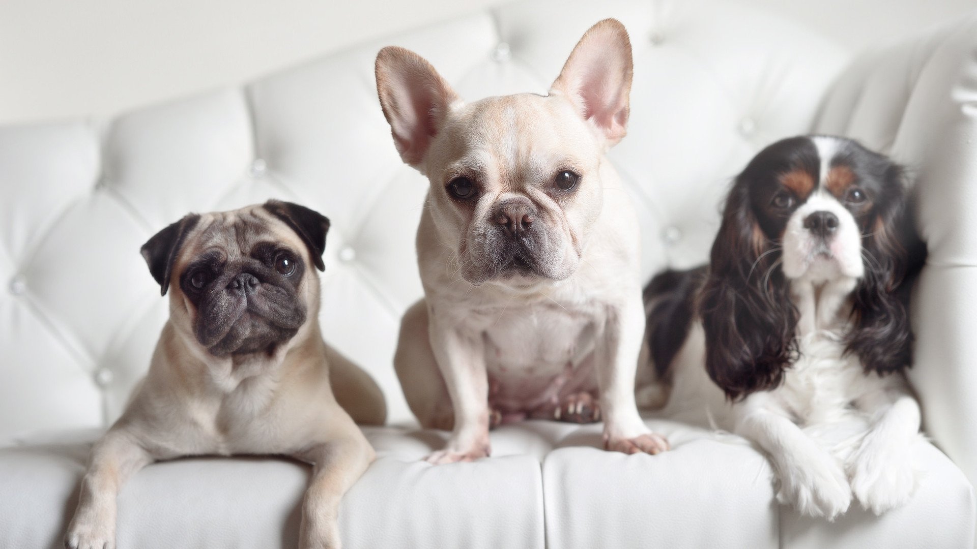 开云中国大陆-《Dota 2奇迹时刻，逆转绝杀震撼全场》，dota2 奇迹哥