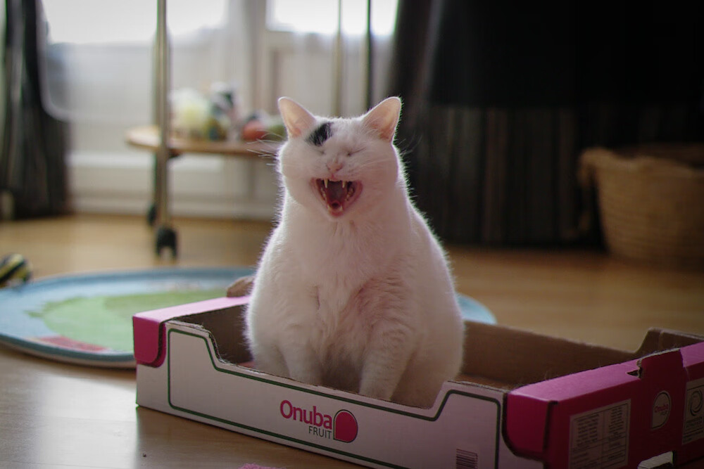 “高速误区”——车手如何避免惊险失误,高速行驶中预防事故的措施