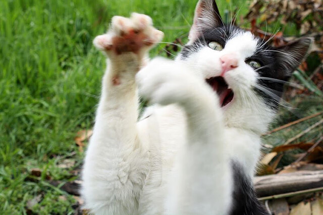 开云体育APP下载-【传感器让投手更精准】科技让投垒比拼成为“数码战场”，投入式传感器使用方法