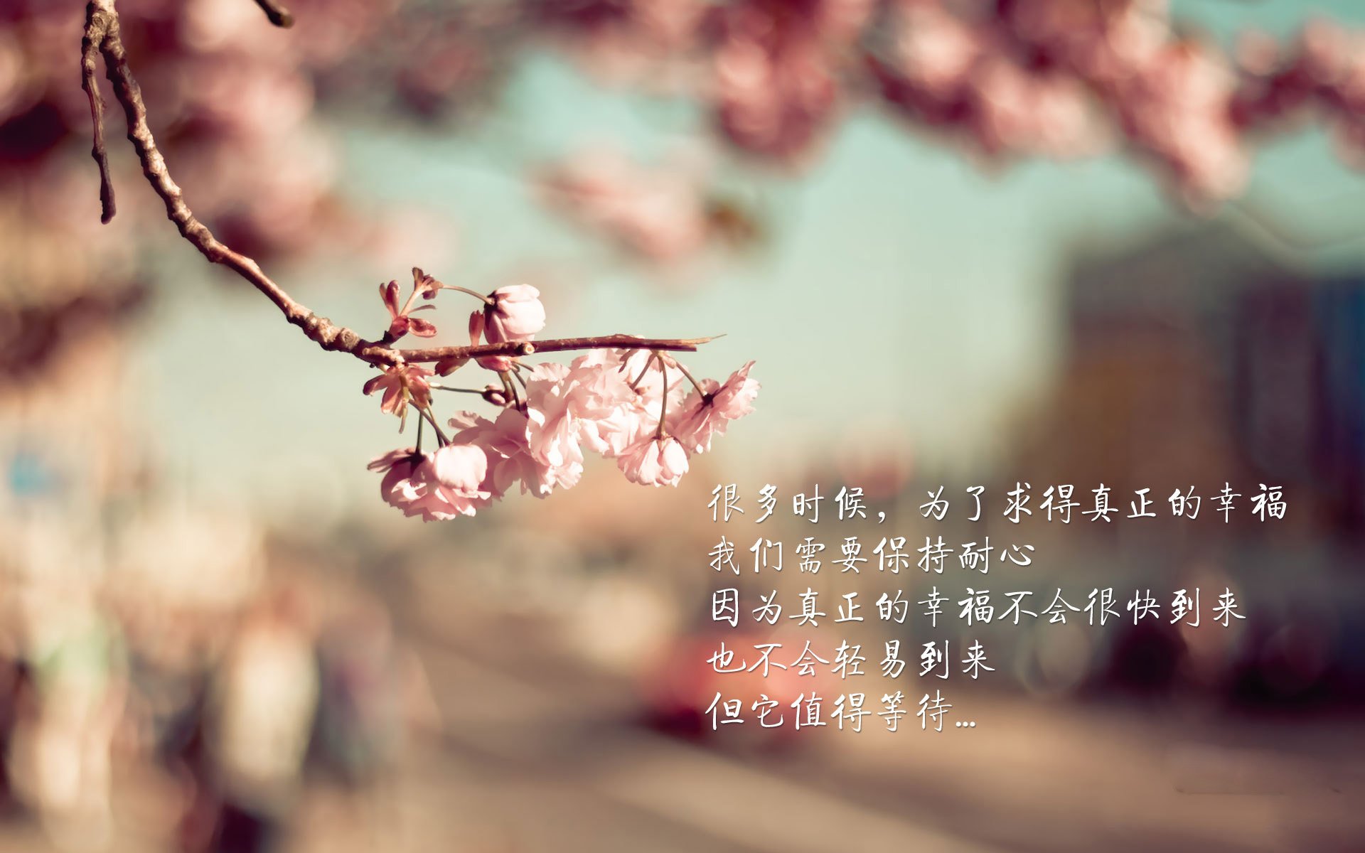 KAIYUN 中国大陆-意甲引入智能数据分析，优化战术策略，意甲专家分析