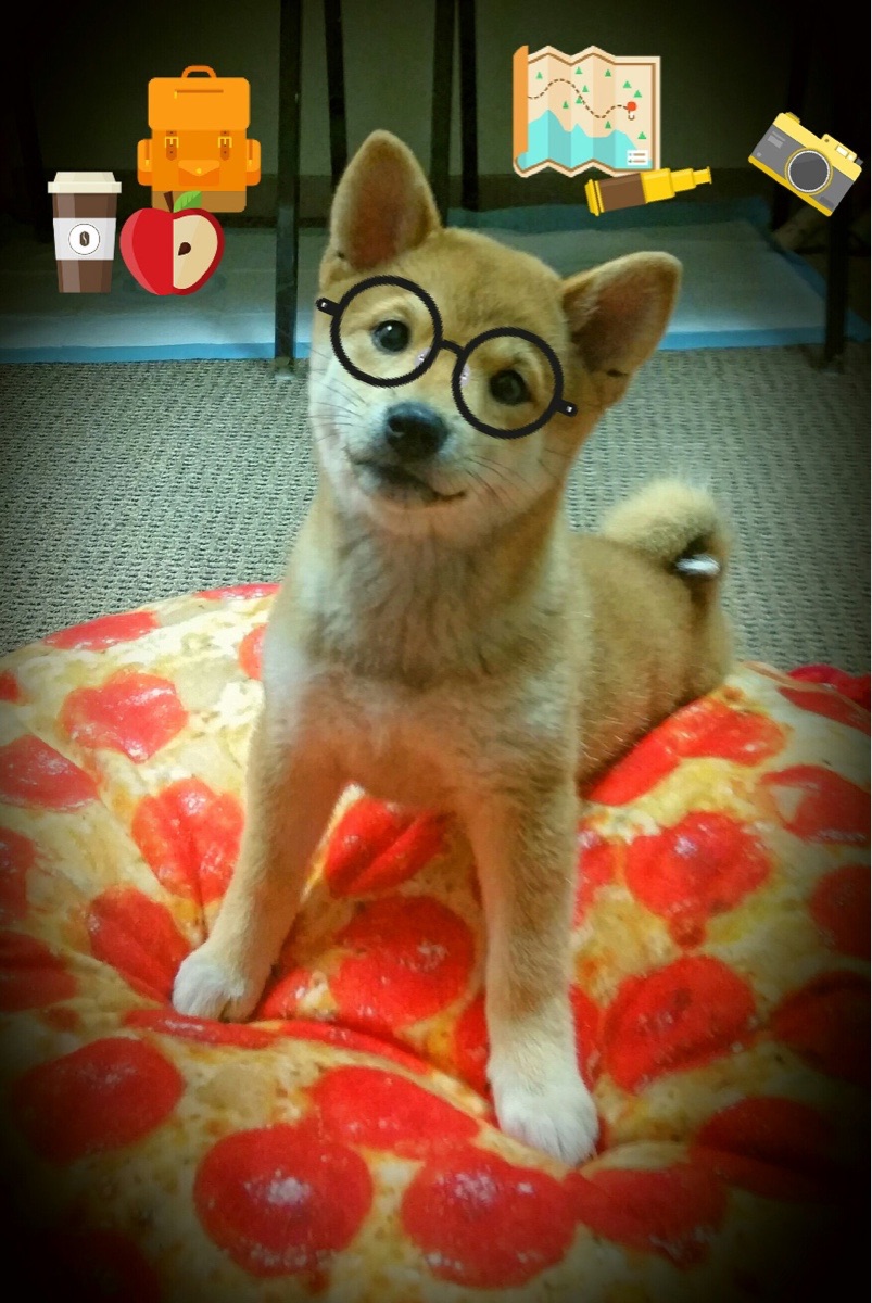 兰斯主帅执教后首胜,球队信心增强,兰斯原名