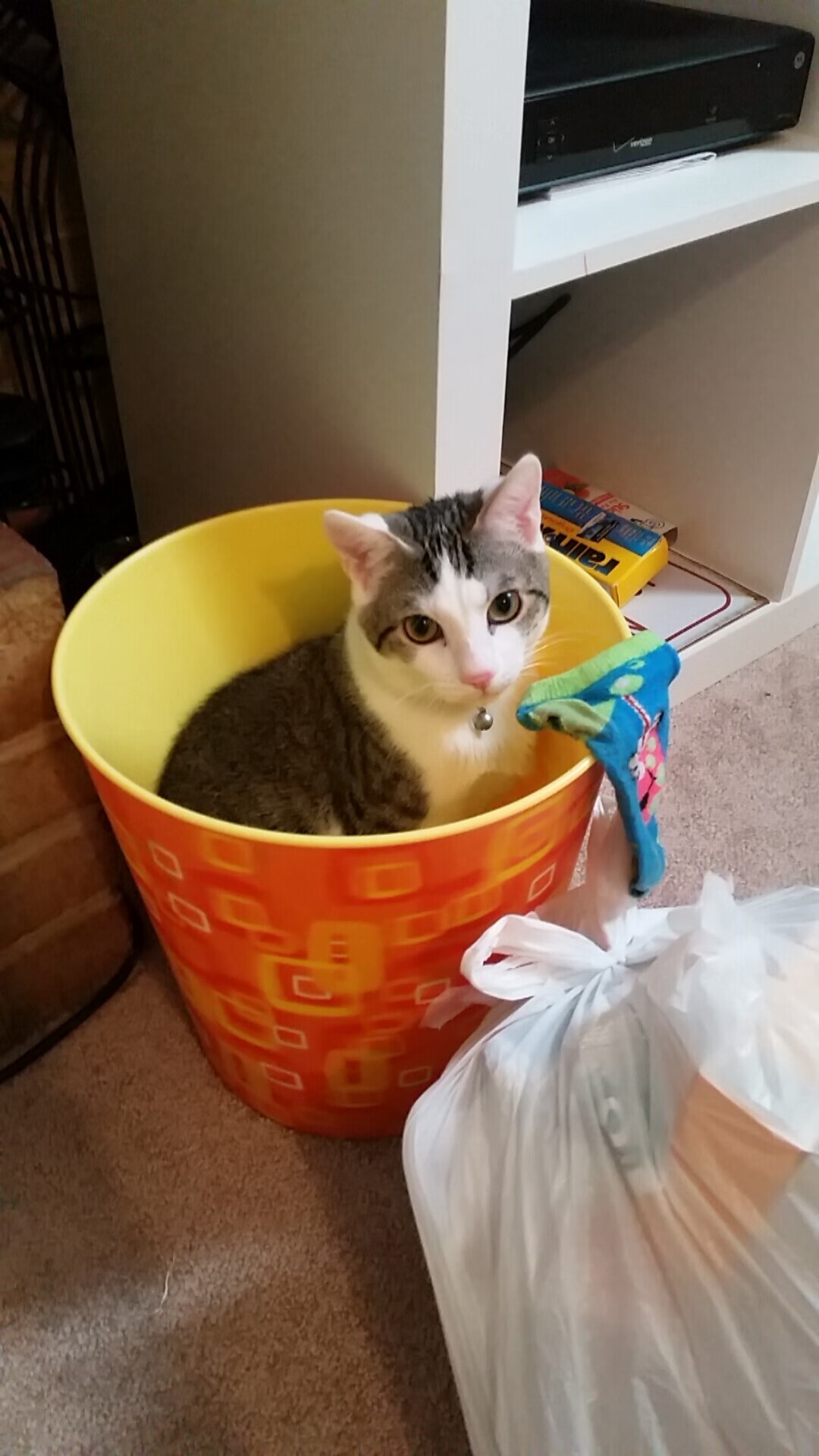 开云·体育官网APP下载-国足在国际友谊赛中的战术演练评估，国足阵容战术