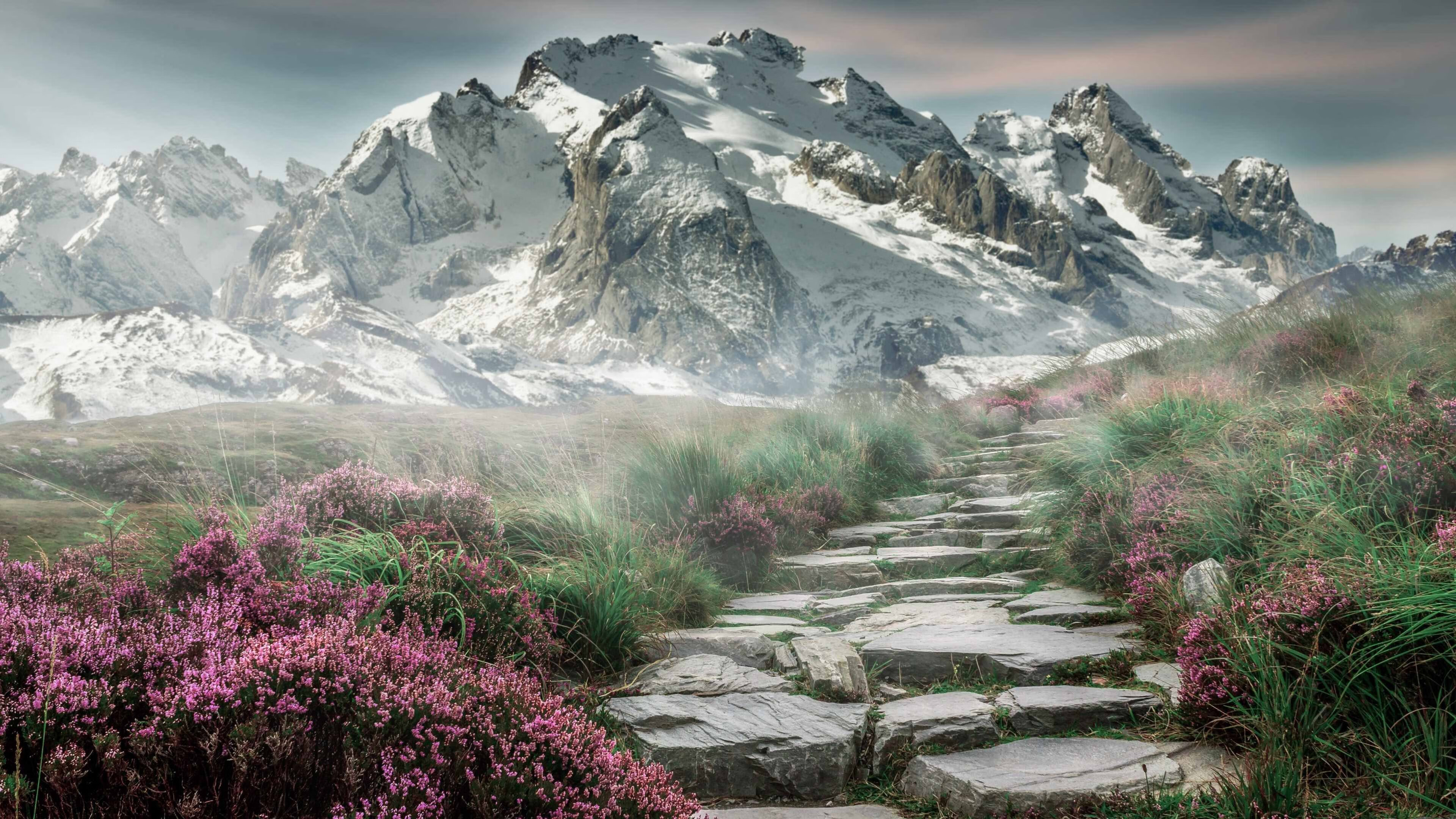 摩赛主帅表现低迷，球队新计划待启动，摩赛智能股吧