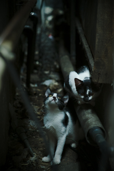 开云体育-斯托克城努力抗衡，客场惜败领头羊！，斯托克简介