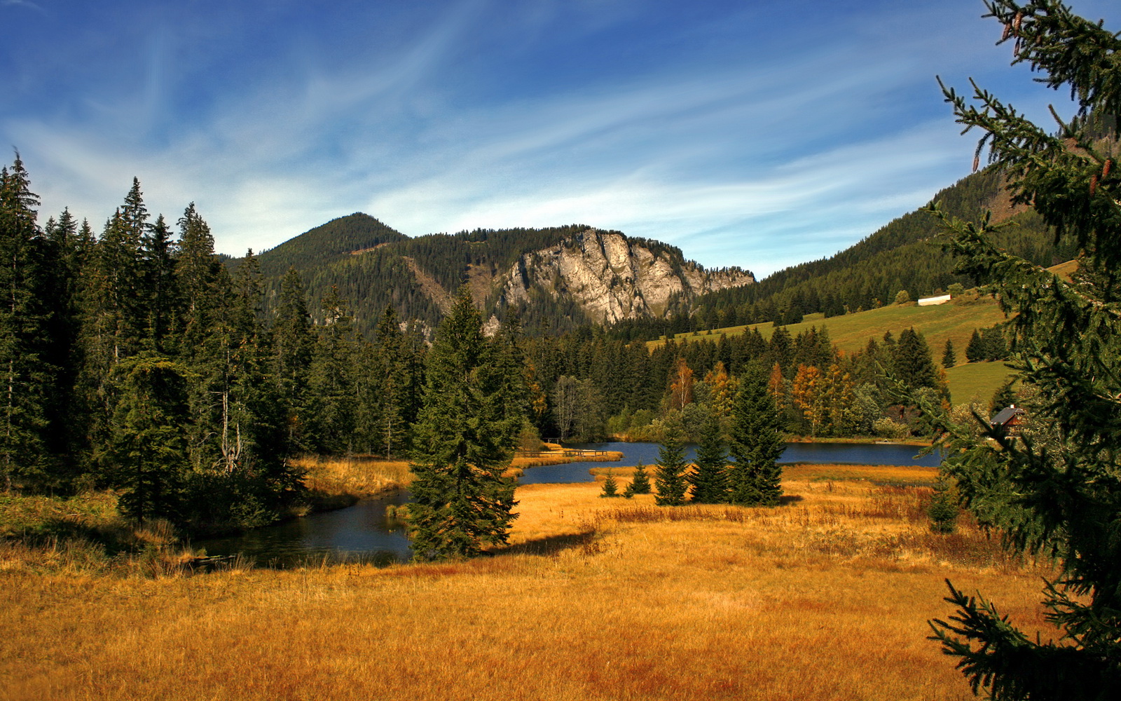 开云入口-莱斯特城继续领跑，冲击英超冠军，莱斯特城首次在英超连续两场胜曼联