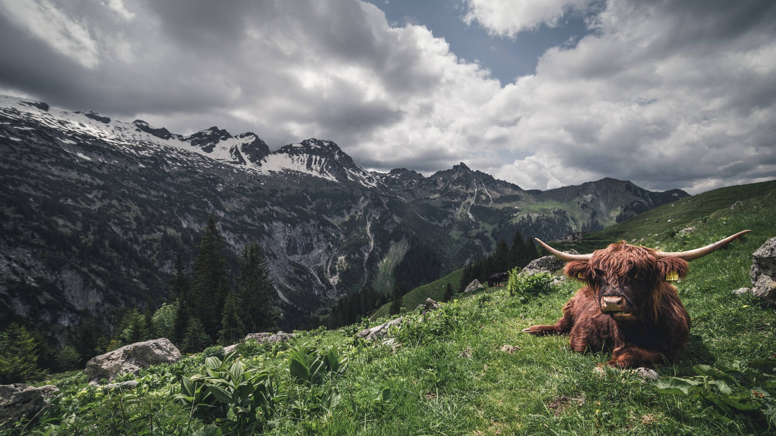 赛区新秀选手崭露头角，赛区新秀选手崭露头角是谁