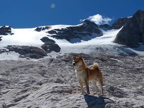 开云中国-里昂队客场大胜，稳坐积分榜前列，里昂队首发阵容