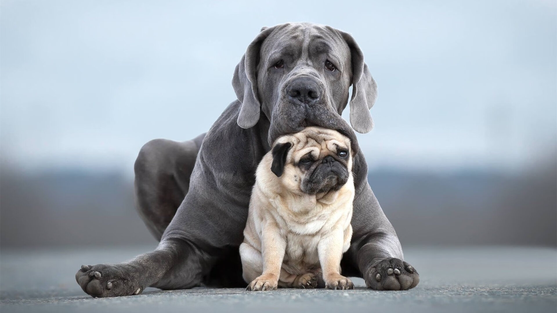 主教练总结前阶段战绩强调细节决定成败要求全员专注，主教练的作用