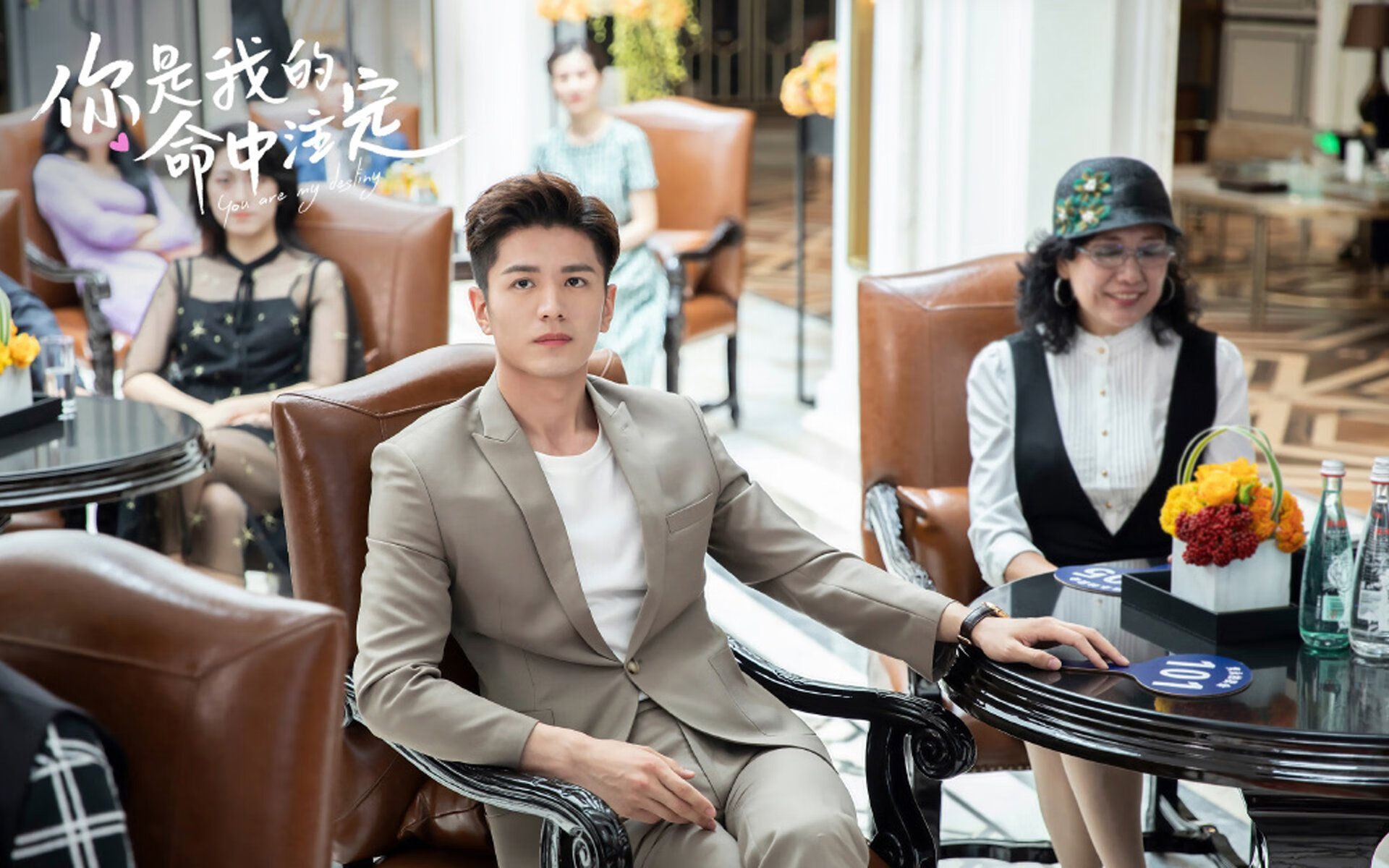 澳大利亚男子橄榄球队回归巅峰之路引发热议，澳大利亚橄榄球比分