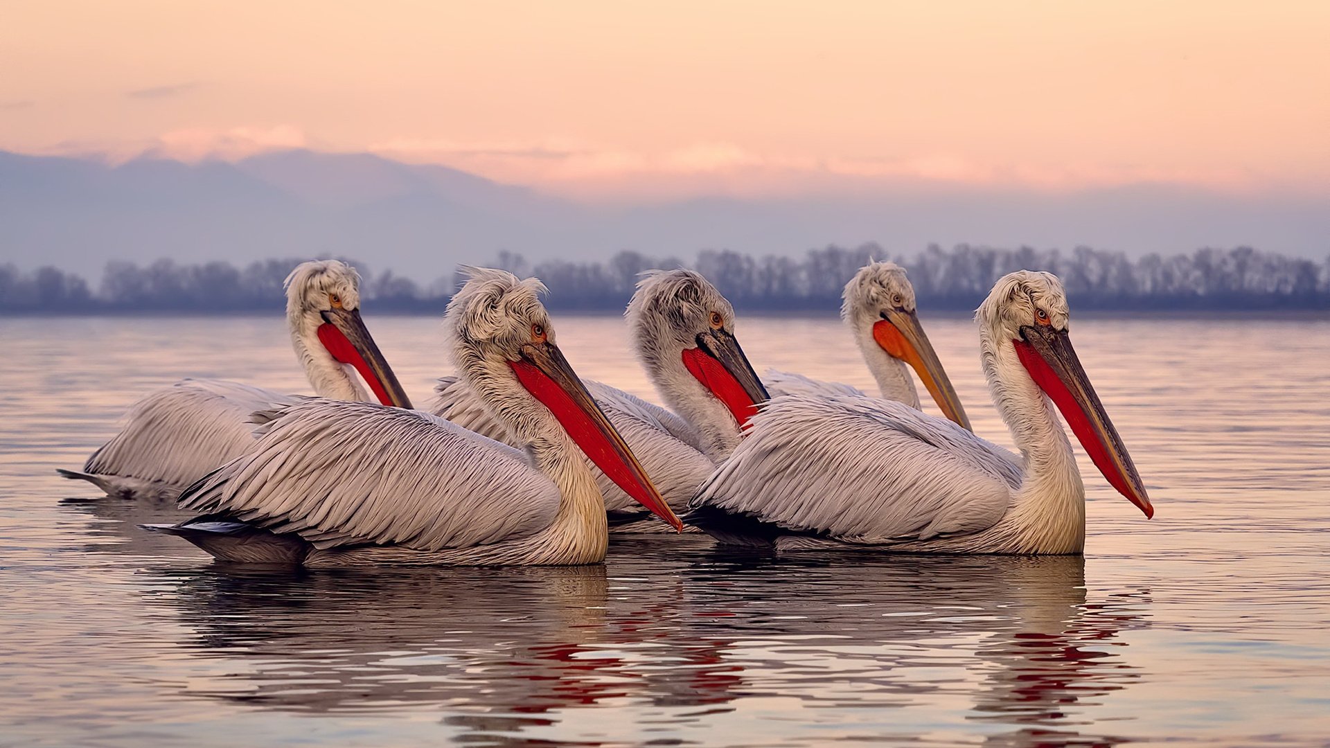 烟台篮球队在国际友谊赛中表现亮眼,展现新一代锋芒,篮球烟台赛区
