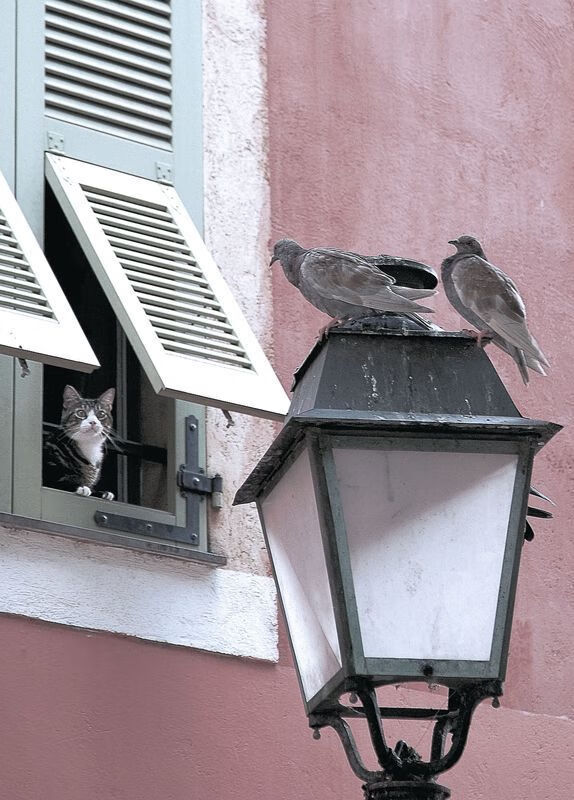 青年球员赴海外联赛锻炼提升实战能力扩大国际视野,中国球员海外青训