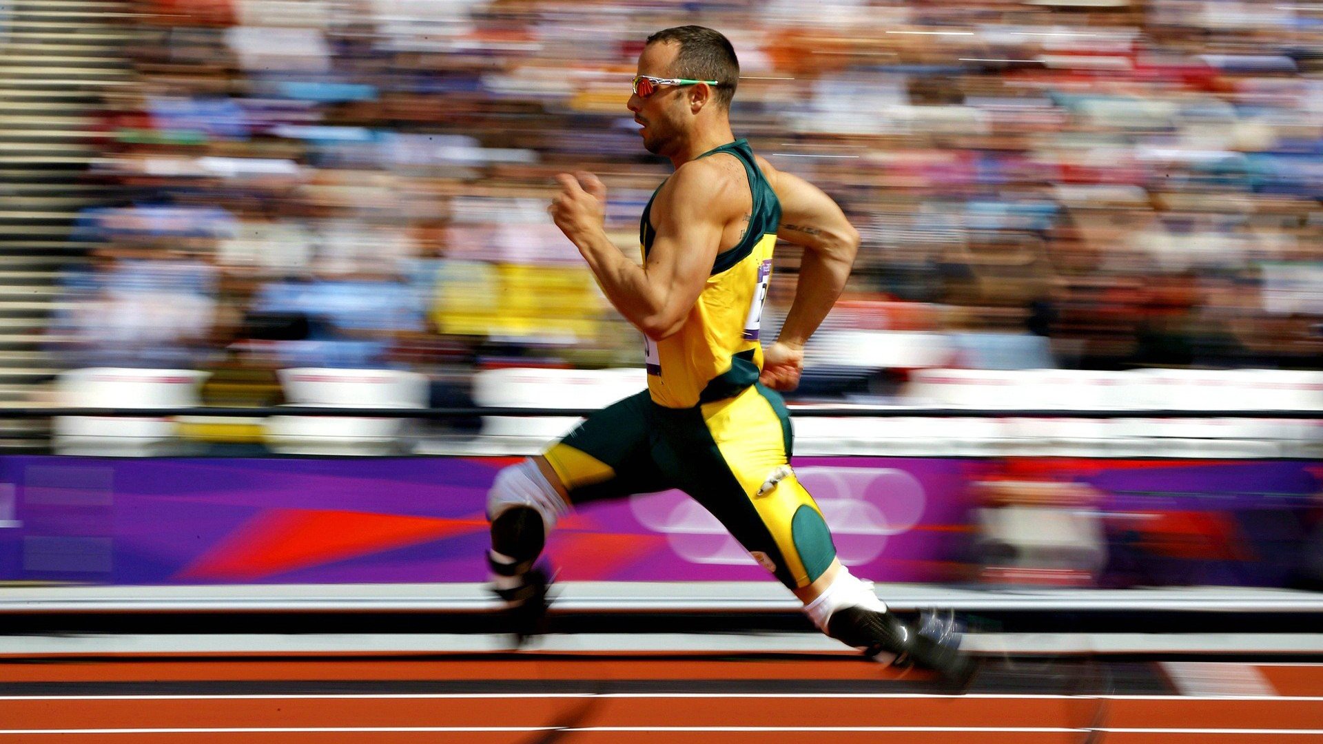 青少年足球放飞梦想，行业“全面开花”点亮未来，青少年足球运动蔚然成风